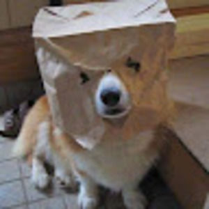 Meet your Posher, Bored